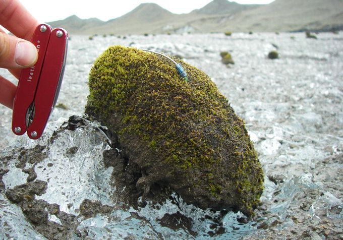 Khối cầu rêu di chuyển bí ẩn trên sông băng